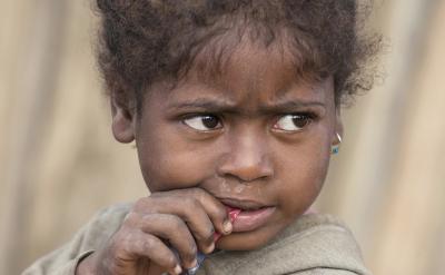 ��ѭ�������