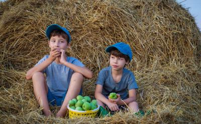 ②氧气的浓度不同,现象也不同。如:硫在空...