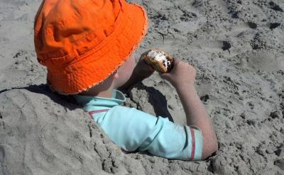 五、对试卷的评价改革建议: