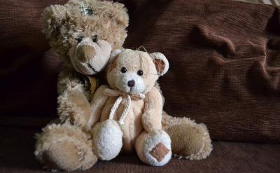 而所有制的实现形式是采取什么样的经营方式...