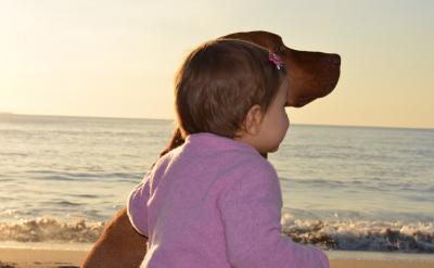 ������д��ʵ��Ӧ��