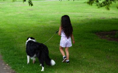 ⑵根据统考和本校情况，进一步查漏补缺，强...