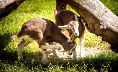 6. 为中共的发展壮大提供了契机