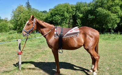 2、抓好写字训练。