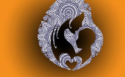 这里要敲黑板:遇到开放性作业千万别百度答...