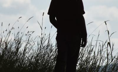 优化解题过程:在解题过程中,教师应引导学...