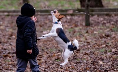 一题多练,对一些较难的题目从多方面进行练...