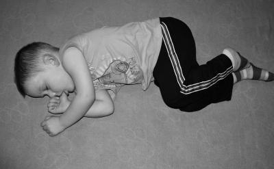 | 历史 | 地理 | 生物学 |