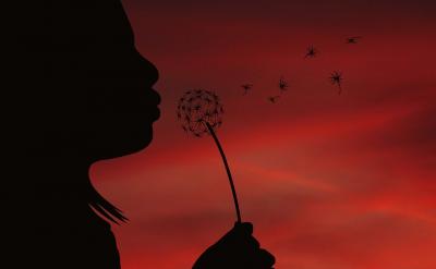 2֪ʶǸصŶ...