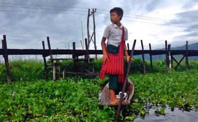 弹弦及打弦乐器