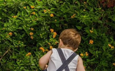 (1)、培养孩子认真读书的习惯。