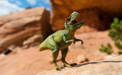 3. 转化为肯定句