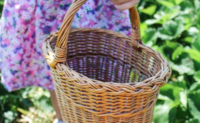 5��ѧ����д��