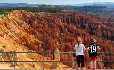 ③能较好地理解文章的语句。