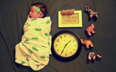 根据原文第六段“苔藓最经常的用处就是制作...