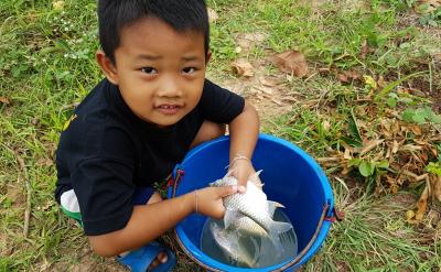 eq 0\)θʽı\(\geq 0\)\(...