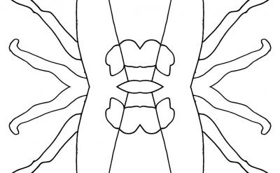 提供适当的心理支持：帮助孩子处理负面情绪和问题