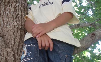 对许多蝙蝠来说,它们的视力太弱,指望不上...