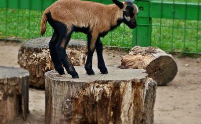 һѧ���������Ǳ�������Ȼû�к�����ҵ�ҵ...