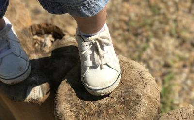 培养孩子的专注力