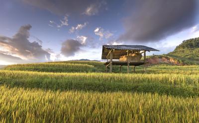 因此,无论文科生还是理科生,都应该保持开...