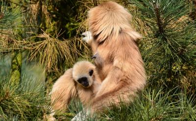 �е���Ϊ��ʹʳ���������ã�ϲ�������һ��...