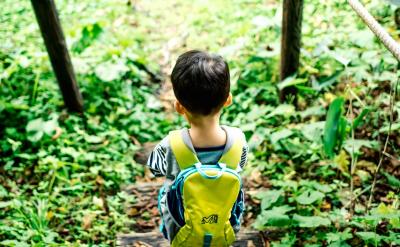 现在，越来越多的心理学家同意加纳的观点，...