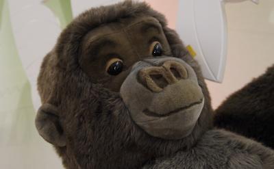 由此,我们可以了解到...