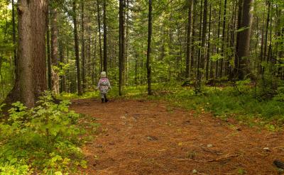 在这个信息爆炸的时代,父母与子女之间的沟...