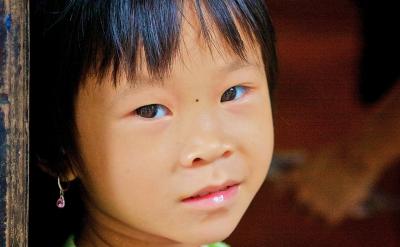 2. 纯净物：由一种分子构成的物质一定是纯...
