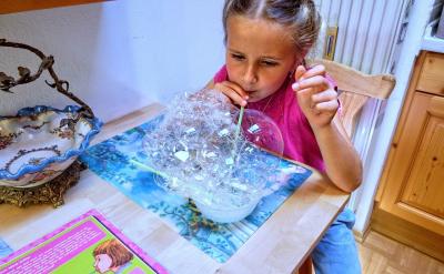 2.2ͨ������ʵ��εĽ�ѧ���ݵĸ���������...