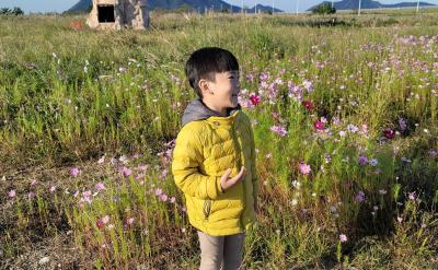 篇3：中考古诗词鉴赏技巧与策略