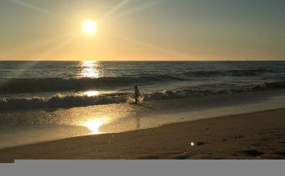 4.engage with sth/sb与…建立密切关系;尽...