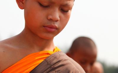 3、(1)一是指蝉所居的梧桐树高;二是指“...