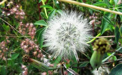 其他的物质辨别的方法也可依此类推,成功辨...