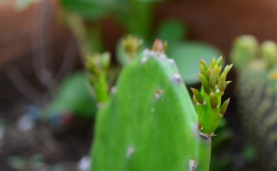 动量和冲量是物理学中不可或缺的概念,它们...
