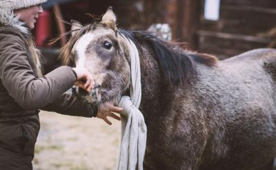 第二、第一阶段的暑假计划