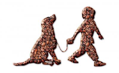 4.师:现在你们知道了什么叫展翅飞吗?生:...