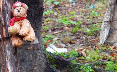 ⑩ How much meat would you like to buy? ...