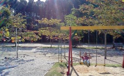 4. 总结反思：每次实验后，学生应进行总结...