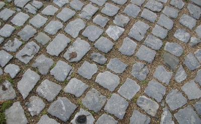 ������������ʾ��Ŀǰ�й��и�������ѧУ��...