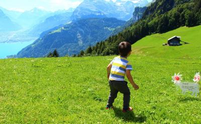 硫酸盐不溶钡和铅、碳磷酸盐多不溶。