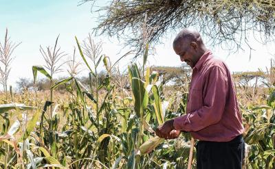 69. 斜纹绒布:twilled fustian,flannel t...