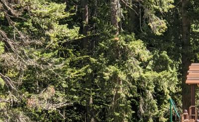 三、走向社会,开展调查研究,培养学生的实...