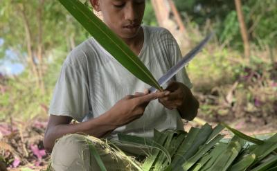 课题名称的界定和解读